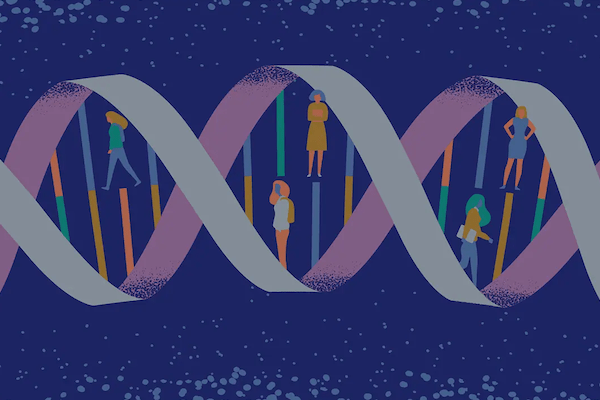 Illustration of genetics
